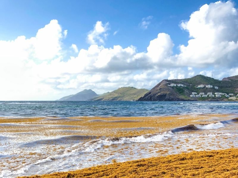 zeilvakantie-caribbean-stmaarten-saint-kitts-01.jpg
