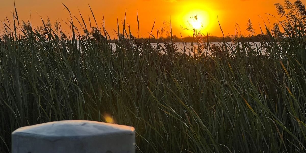 zeilvakantie-nederland-wadden-05.jpeg