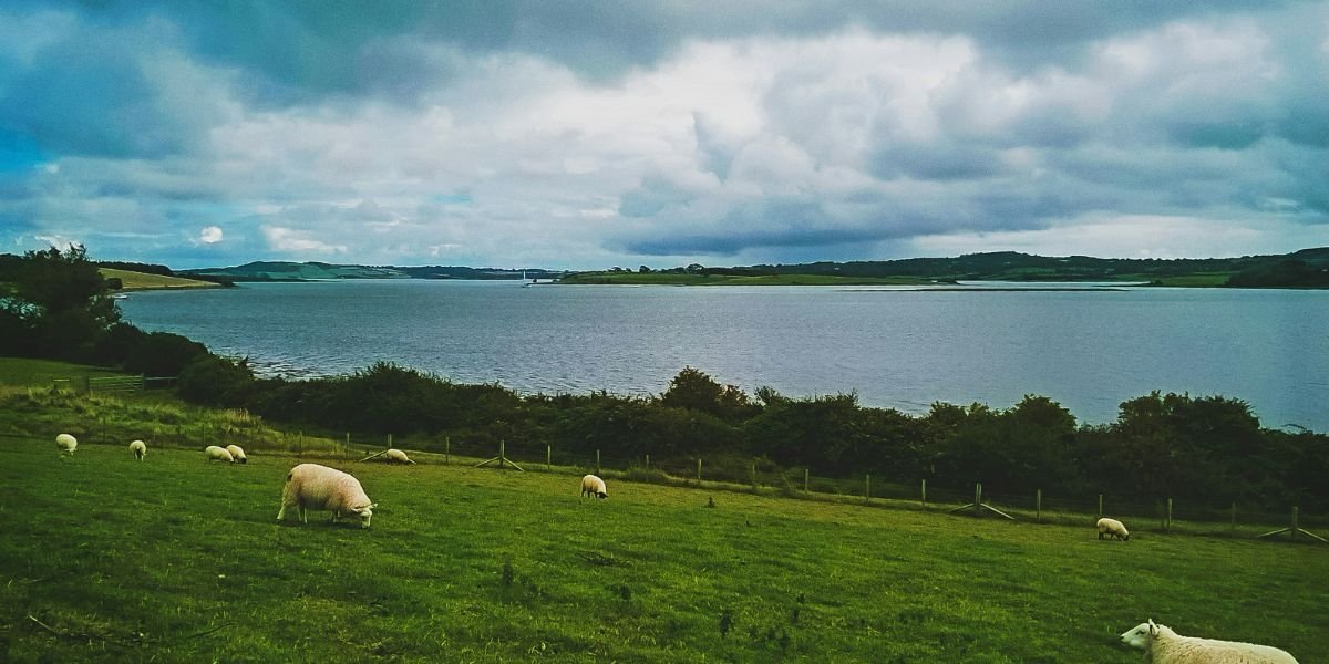 zeiltocht-dublin-isle-of-man-belfast-13.jpg